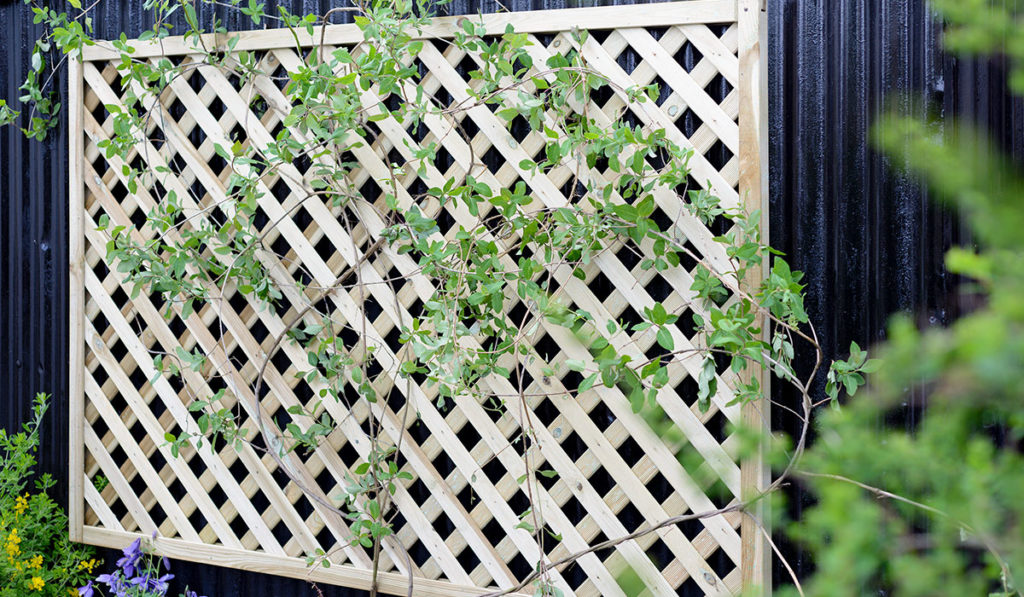 trellis-gallery_0002_L ELTSQL4 Lifestyle Image (1)